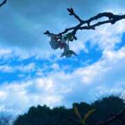 ヒメ日記 2025/10/25 08:19 投稿 ほのか 素人妻御奉仕倶楽部Hip's松戸店