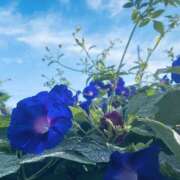 ヒメ日記 2025/10/25 22:59 投稿 ほのか 素人妻御奉仕倶楽部Hip's松戸店