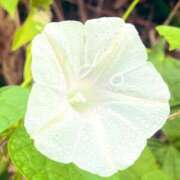 ヒメ日記 2025/10/28 10:19 投稿 ほのか 素人妻御奉仕倶楽部Hip's松戸店