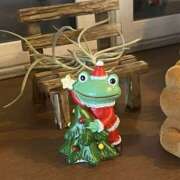 ヒメ日記 2025/11/01 14:39 投稿 ほのか 素人妻御奉仕倶楽部Hip's松戸店