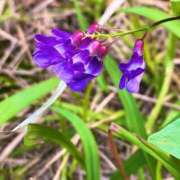 ヒメ日記 2025/12/02 11:19 投稿 ほのか 素人妻御奉仕倶楽部Hip's松戸店