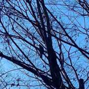 ヒメ日記 2025/12/19 08:29 投稿 ほのか 素人妻御奉仕倶楽部Hip's松戸店