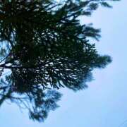 ヒメ日記 2026/02/03 16:39 投稿 ほのか 素人妻御奉仕倶楽部Hip's松戸店