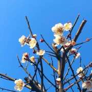 ほのか 明日のご予約ありがとうございます♡ 素人妻御奉仕倶楽部Hip's松戸店