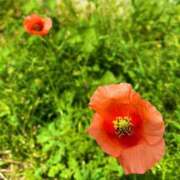 ヒメ日記 2026/04/04 19:14 投稿 ほのか 素人妻御奉仕倶楽部Hip's松戸店