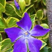 ヒメ日記 2026/04/11 09:29 投稿 ほのか 素人妻御奉仕倶楽部Hip's松戸店