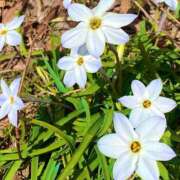 ヒメ日記 2026/04/29 08:19 投稿 ほのか 素人妻御奉仕倶楽部Hip's松戸店