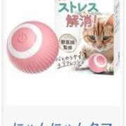 ヒメ日記 2024/12/19 12:18 投稿 友恵/ともえ centu STYLISH BACH