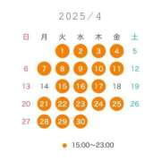 ヒメ日記 2025/04/03 11:06 投稿 友恵/ともえ centu STYLISH BACH