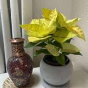 ヒメ日記 2024/12/09 23:14 投稿 岩崎水穂 五十路マダム静岡店（カサブランカG）