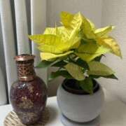 ヒメ日記 2024/12/31 07:54 投稿 岩崎水穂 五十路マダム静岡店（カサブランカG）