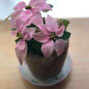 ヒメ日記 2025/01/12 23:10 投稿 岩崎水穂 五十路マダム静岡店（カサブランカG）