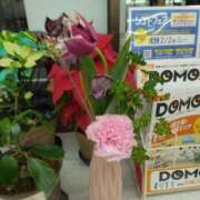 ヒメ日記 2025/01/31 19:36 投稿 岩崎水穂 五十路マダム静岡店（カサブランカG）