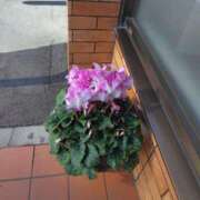 ヒメ日記 2025/02/04 17:00 投稿 岩崎水穂 五十路マダム静岡店（カサブランカG）