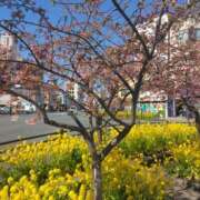 ヒメ日記 2025/02/27 10:50 投稿 岩崎水穂 五十路マダム静岡店（カサブランカG）