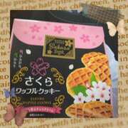 ヒメ日記 2025/02/27 17:16 投稿 岩崎水穂 五十路マダム静岡店（カサブランカG）