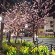 ヒメ日記 2025/03/01 09:56 投稿 岩崎水穂 五十路マダム静岡店（カサブランカG）