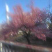 ヒメ日記 2026/02/04 11:04 投稿 岩崎水穂 五十路マダム静岡店（カサブランカG）