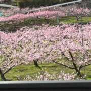 ヒメ日記 2026/03/07 21:50 投稿 岩崎水穂 五十路マダム静岡店（カサブランカG）