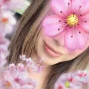 ヒメ日記 2026/03/29 12:16 投稿 五十嵐はずき セレブ嬉野