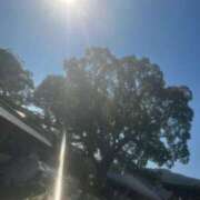 ヒメ日記 2026/04/11 21:51 投稿 五十嵐はずき セレブ嬉野