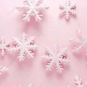 ヒメ日記 2024/12/24 23:05 投稿 深沢 MadameRest(マダムレスト)