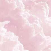 ヒメ日記 2024/12/29 13:39 投稿 深沢 MadameRest(マダムレスト)