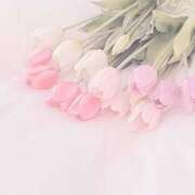 ヒメ日記 2025/06/08 13:54 投稿 深沢 MadameRest(マダムレスト)