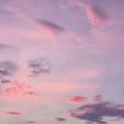 ヒメ日記 2026/04/15 17:24 投稿 深沢 MadameRest(マダムレスト)