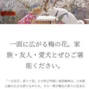 ヒメ日記 2025/02/28 18:15 投稿 あゆ 奥様の実話 梅田店