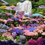 ヒメ日記 2025/06/09 22:45 投稿 あゆ 奥様の実話 梅田店