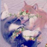 ヒメ日記 2025/07/25 19:45 投稿 あゆ 奥様の実話 梅田店