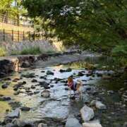 ヒメ日記 2025/08/10 08:00 投稿 あゆ 奥様の実話 梅田店