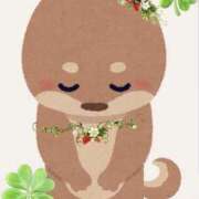 ヒメ日記 2025/09/23 21:00 投稿 あゆ 奥様の実話 梅田店