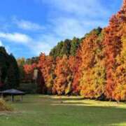 あゆ 2️⃣-1️⃣移籍して2年目を迎えます。 奥様の実話 梅田店