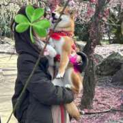 ヒメ日記 2026/03/15 19:00 投稿 あゆ 奥様の実話 梅田店