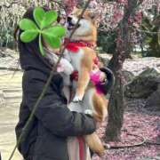 あゆ 追記2-1😀喜び一杯のワンコ。 奥様の実話 梅田店