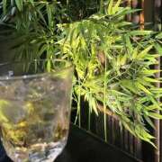 ヒメ日記 2025/03/01 09:00 投稿 なぎさ ハピネス札幌