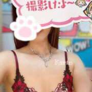 ヒメ日記 2025/02/23 13:45 投稿 かりん DOLCE