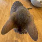 ヒメ日記 2025/10/12 13:40 投稿 かりん DOLCE