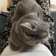 ヒメ日記 2026/09/07 12:01 投稿 かりん DOLCE