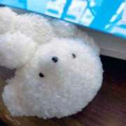 ヒメ日記 2026/01/15 23:18 投稿 藤宮のん 宝石箱(すすきの)