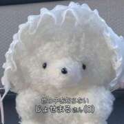 ヒメ日記 2026/02/05 23:19 投稿 藤宮のん 宝石箱(すすきの)