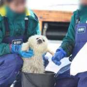 藤宮のん わくわくしといてね 宝石箱(すすきの)