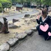 ヒメ日記 2025/05/18 14:23 投稿 エルサ チューリップ土浦店