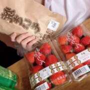 ヒメ日記 2026/04/09 10:02 投稿 いと ハッピーハウス