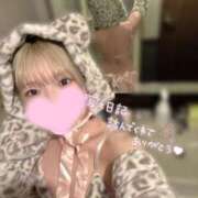 ヒメ日記 2025/07/20 00:32 投稿 りか S級美女専門　ロイヤルリング