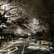 ヒメ日記 2026/03/29 11:33 投稿 りか S級美女専門　ロイヤルリング