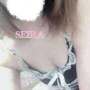 ヒメ日記 2024/12/18 03:31 投稿 せいら S級美女専門　ロイヤルリング