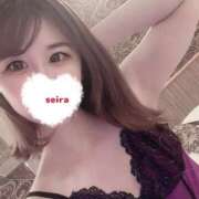 ヒメ日記 2024/12/29 20:20 投稿 せいら S級美女専門　ロイヤルリング